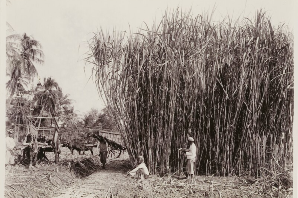 Colonial rekening: what does the Netherlands owe Indonesia? – New Mandala