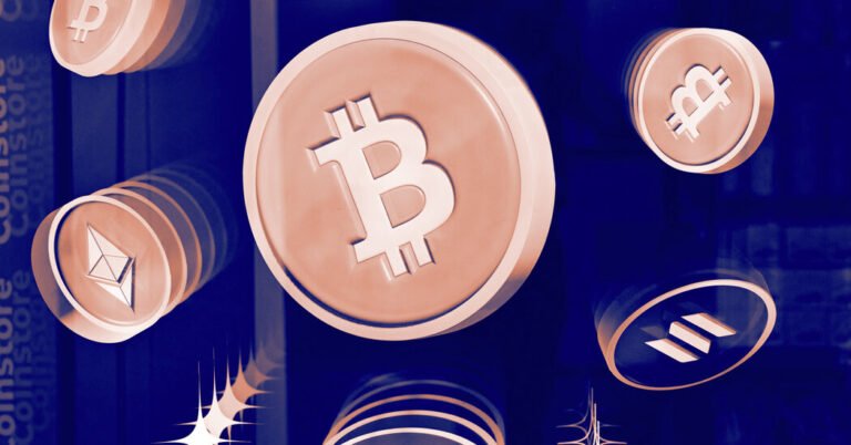 A Bitcoin Evangelist Tries to Convert Me