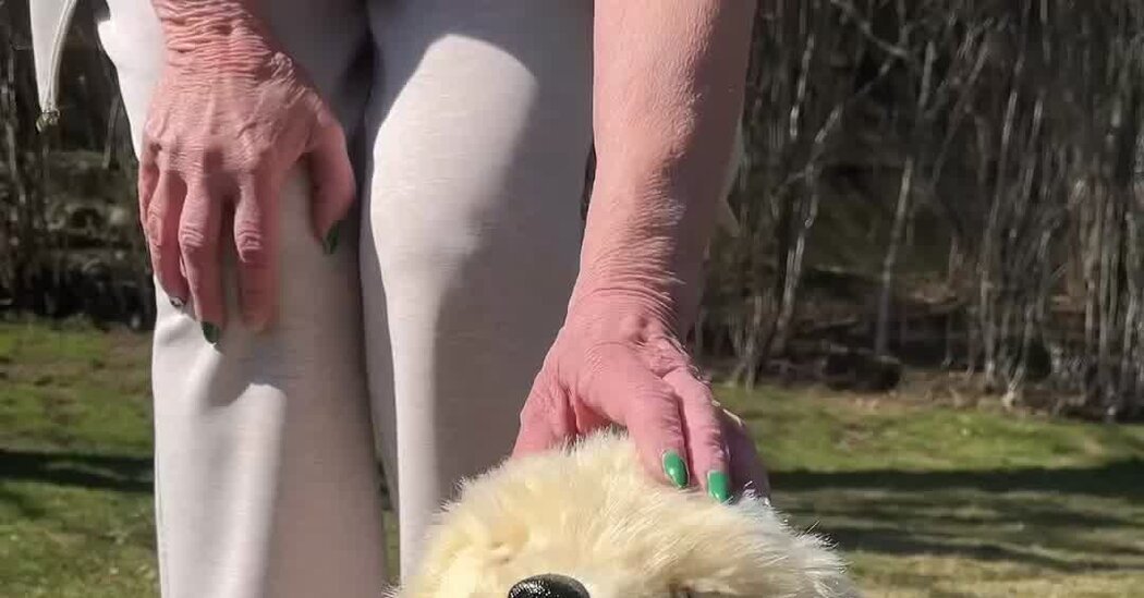 Aging in Place: How Technology Might Help You Grow Old at Home