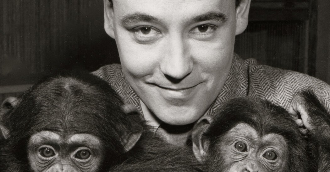 Desmond Morris, 98, Dies; Zoologist Saw Links Between Humans and Apes
