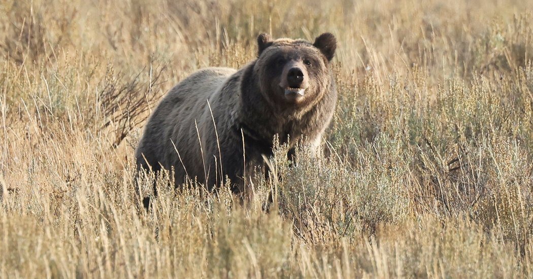 On Earth Day, House Cancels Vote to Narrow Endangered Species Protections