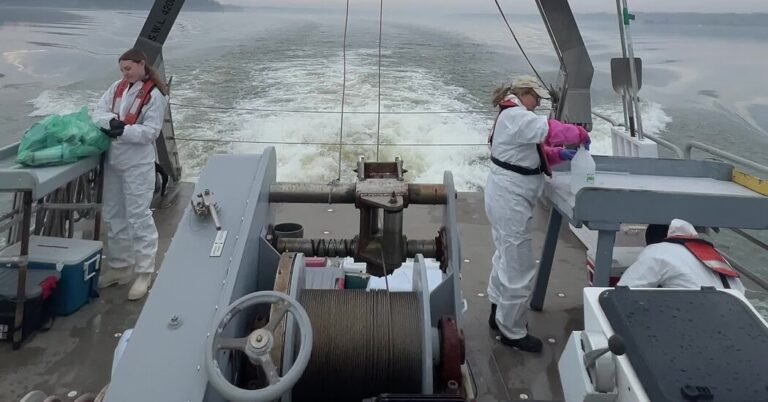 Sewage Spill Is Over, But Contamination Lingers In Potomac