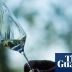 ‘As intense as perfume’: which eaux de vie are worth trying?