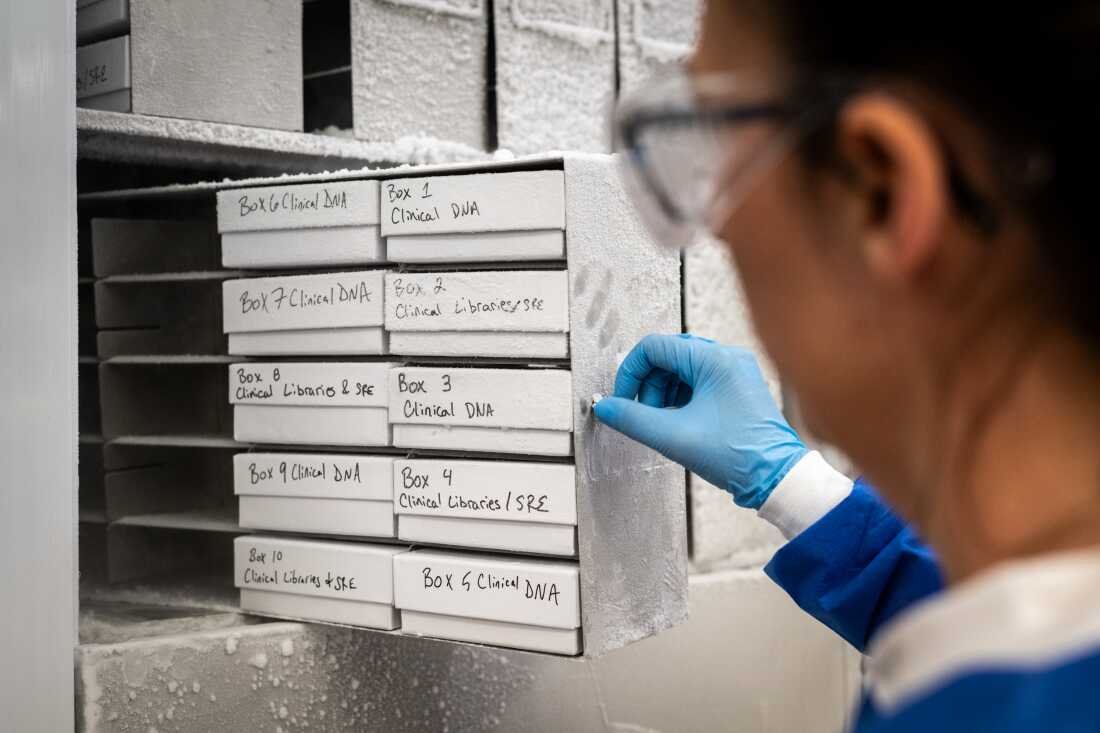 DNA samples are maintained in a Herasight lab freezer until they're processed.