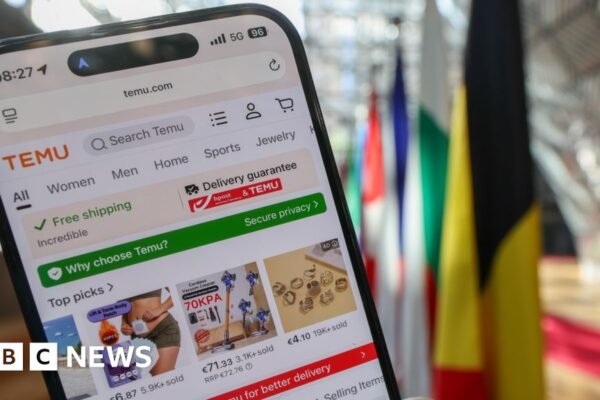 EU fines Temu €200m for allowing sale of illegal products