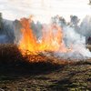 To Manage Wildfire, California Looks To What Tribes Have Known All Along