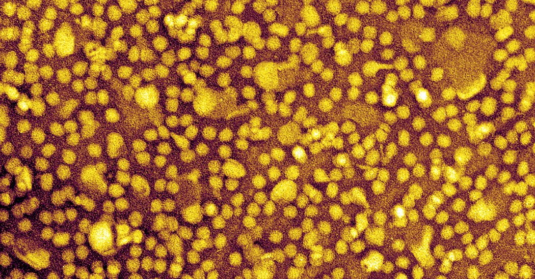 One-and-Done Heart Disease Prevention? Scientists Show It May Be Possible.