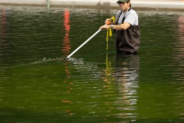 Opinion: Algae doesn't care about our party lines