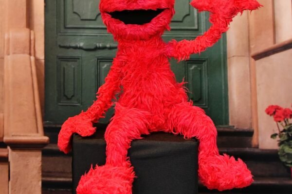 Sesame Street's Elmo Reacts to Being Bullied for New York Knicks Tweet