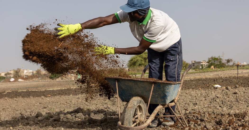 The Iran War Has Led to Months of Global Shortages