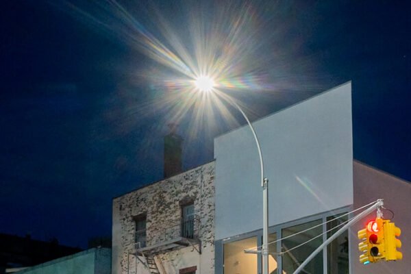 Urban Light Pollution Might Be Worsening Allergies