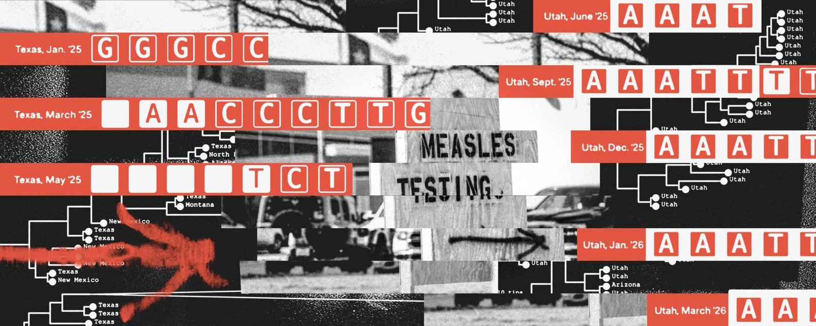 What ProPublica Found in the Genetic Code of America’s Measles Outbreaks