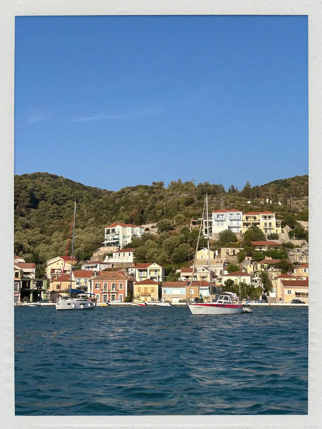 Image may contain Water Waterfront Neighborhood Transportation Vehicle Yacht Animal Canine Dog and Mammal