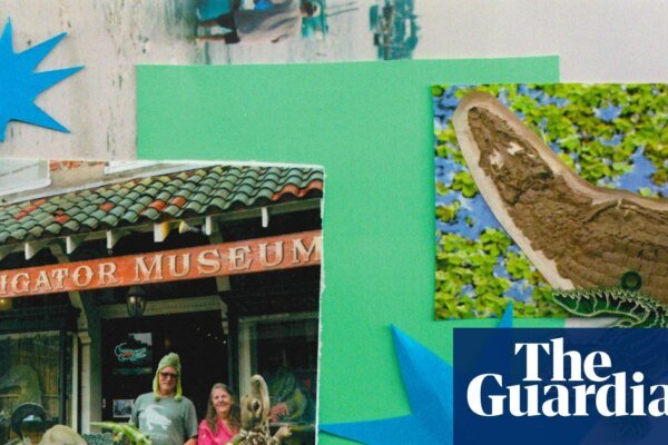 A day in the life of US alligator museum owners: ‘If it’s green, it sells’