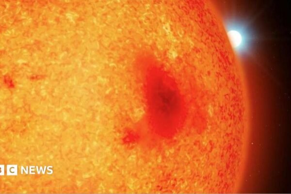 Astronomers' surprise at discovery of new stars