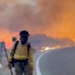 A firefighter sprays water on fire in a forest in Spain