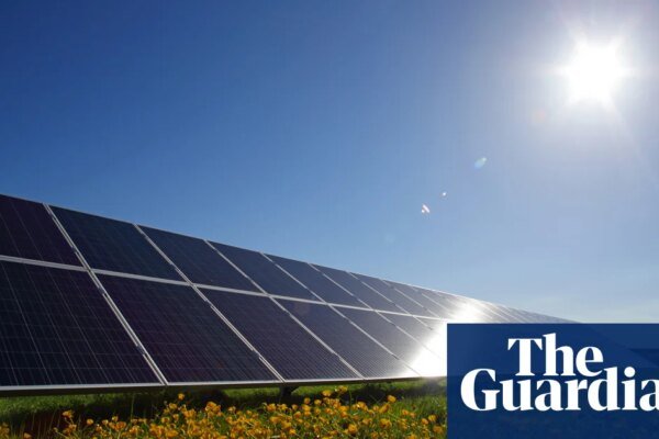 Carbon capture is a fig leaf for fossil fuel expansion | Letters