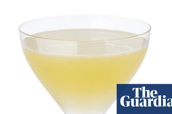 Cocktail of the week: Empire Empire’s cardamom and lemon (or lime) gimlet – recipe | The good mixer