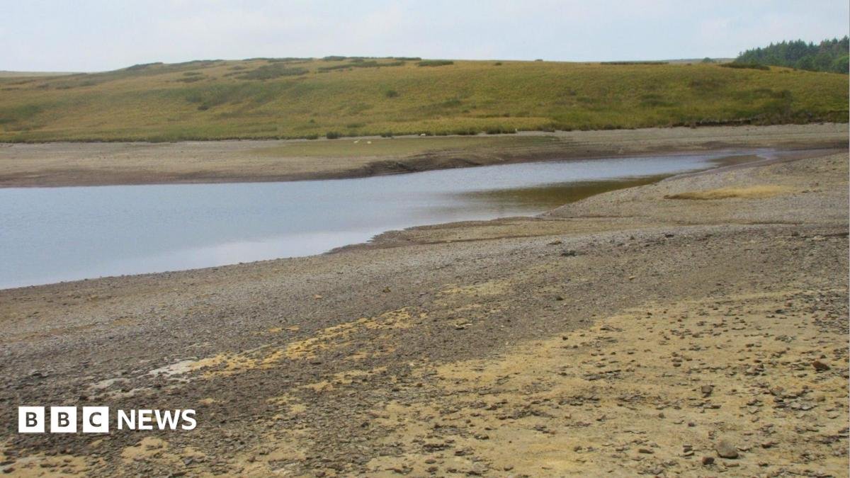 Llyn Aled Isaf in Conwy. The banks of the lake are dried up, the nearest bank is sandy with pebbles on, the bank in the distance is green, with a hill rising up behind it.