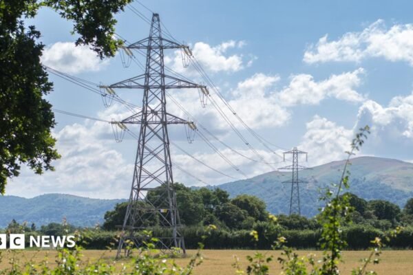 Farmers 'vindicated' after judge's ruling on pylon firm accessing land