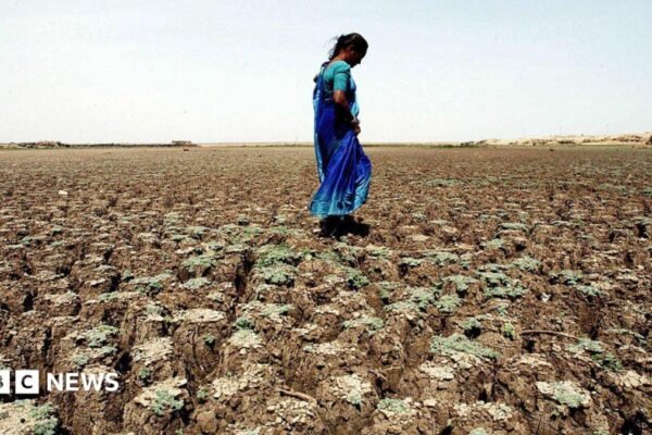 A farmer wearing an orange turban and white kurta on his parched farm in Punjab's Patiala in 2020.