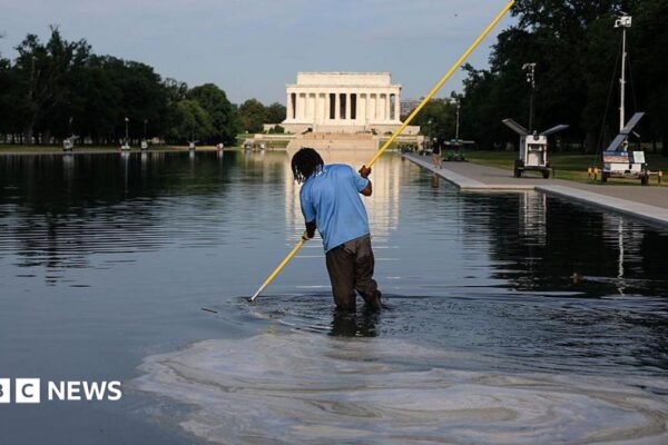Workers clean the Lincoln Memorial Reflecting Pool on the National Mall on June 25, 2026 in Washington, DC.