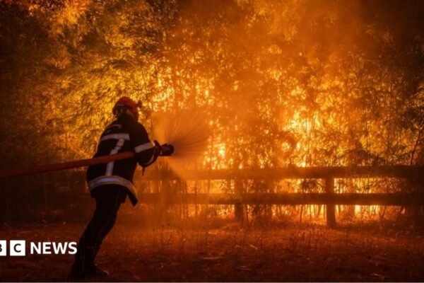 Photo shows a firefighter battling flames from a wildfire spreading in Ares, south-western France, 25 July 2026.