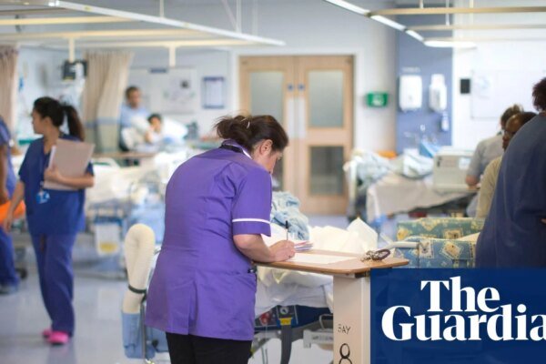 Palantir isn’t the only option for the NHS | Letter
