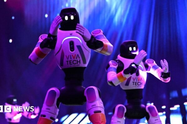 Robots available for rent: But what can they do?