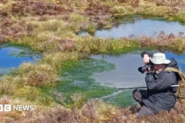 Scientist dubbed The Bogfather is restoring peatland to fight climate change