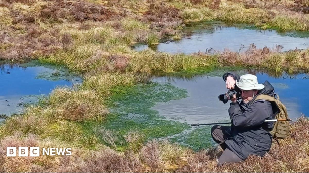 Scientist dubbed The Bogfather is restoring peatland to fight climate change