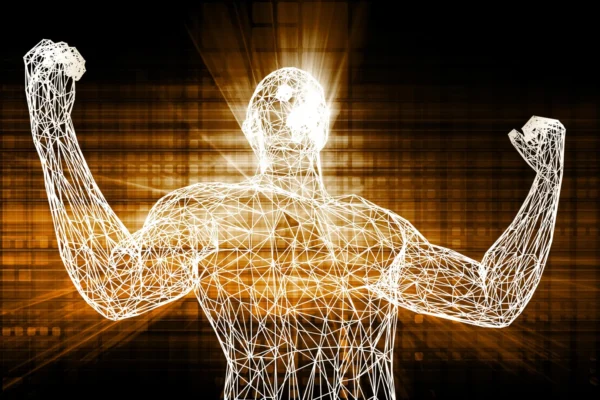 Scientists discover a compound that could supercharge aging muscle repair