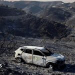 A care destroyed by fire sits among burnt vegetation during deadly wildfires affecting Almeria province