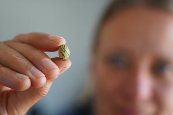 Spectacular find: 1,000-year-old Viking textile workshop unearthed