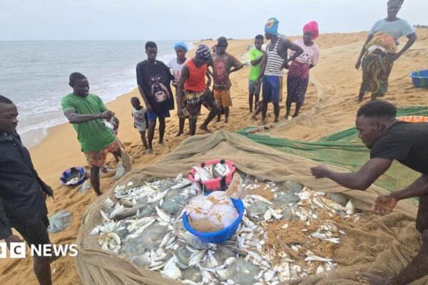 The African fishermen who blame Chinese trawlers for their woes