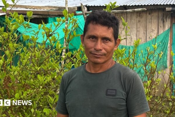 Coca farmer Perea standing among his plants. Behind him are green sheets hanging up in front of a building.