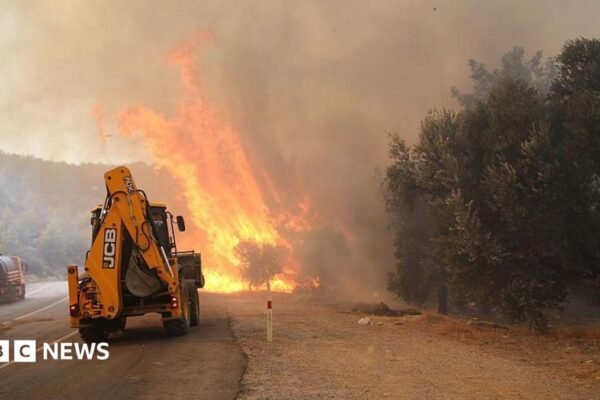 A view of flames as firefighters battle the wildfire with ground and aerial operations in Seydikemer district of Mugla