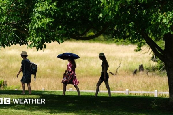 UK temperatures forecast to exceed 30C as another heatwave imminent