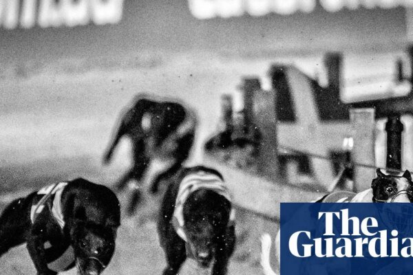 Underdogs by Louise Powell review – a powerful debut with plenty of northern soul