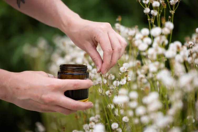 A pair of hands hold a brown glass jar and pick small white flowers.
