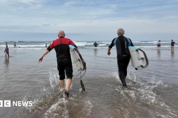 Should you take the plunge? How to tell how clean the sea is
