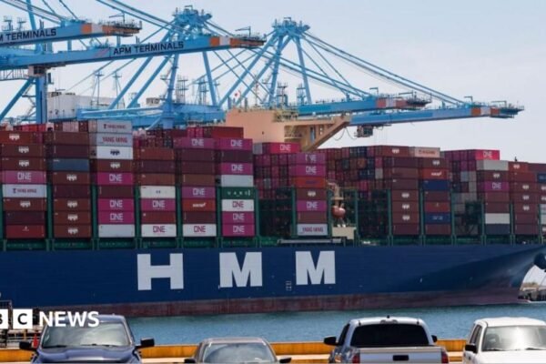 US states sue to block Trump tariffs impacting dozens of countries