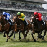 Bath Showdown: Brilliant Star, Alla Stella and Pierian Clash in the Beckford Stakes